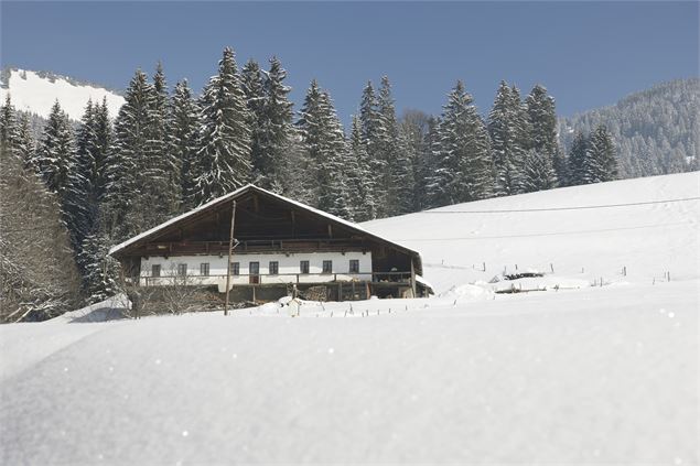 Chalet à Châtel - JF Vuarand