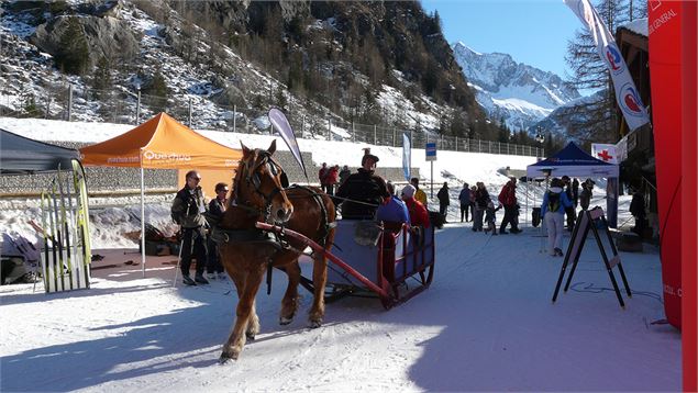Balade en traîneau