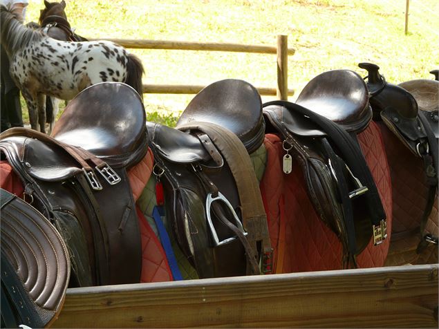 Le Fer à Cheval Peisey-Vallandry