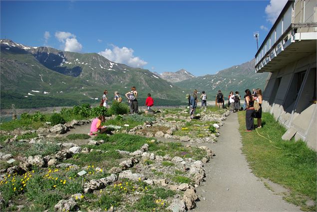 Le sommet du jardin alpin - OTHMV