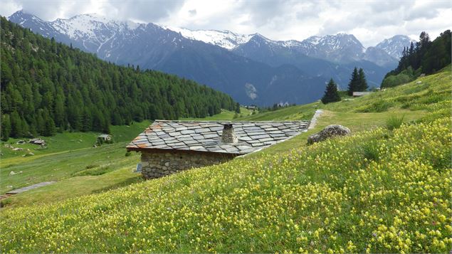 Paysage de l'Orgère - Gérard Thiévenaz ATD/CG73