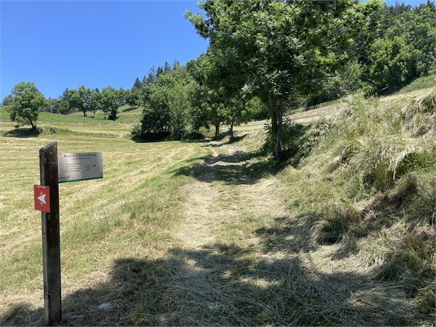 En montant à la Croix de Feissons Feissons-sur-Salins - Feissons sur Salins - Geoffrey Vabre