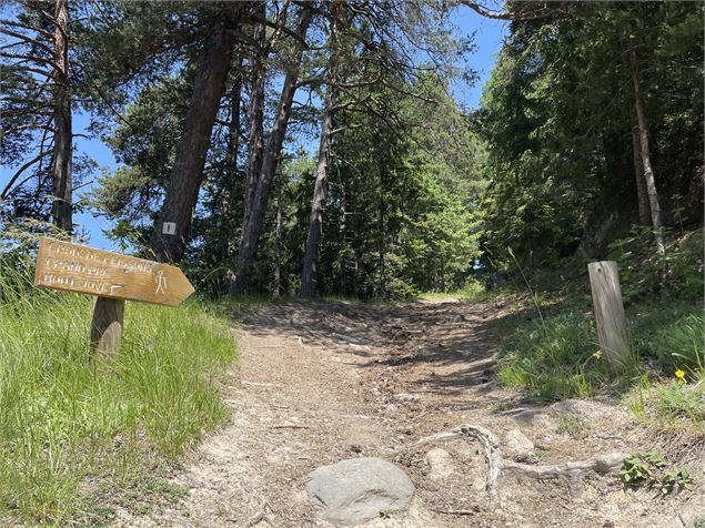 Sur le chemin de la Croix de Feissons Feissons-sur-Salins - Feissons sur Salins - Geoffrey Vabre