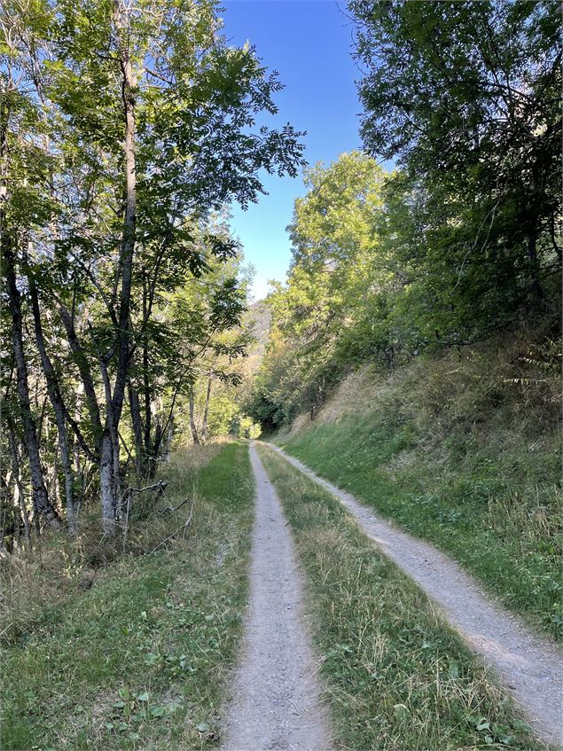 Sur le sentier de Champ Ruel A/R - Vallée de Bozel Tourisme - Vallée de Bozel Tourisme