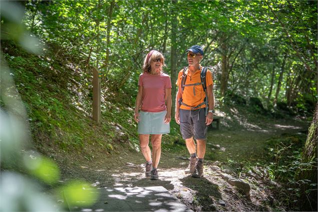 Dans les bois sur le sentier des Gorges de Ballandaz - Planay - Geoffrey Vabre