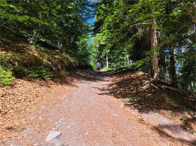 Sur le chemin de la boucle Cul de l'Ane - Bozel - Séverine Varrot