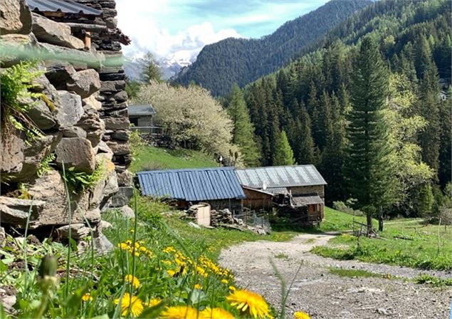 Sentier des herbiers - OTHMV - B.Thomas