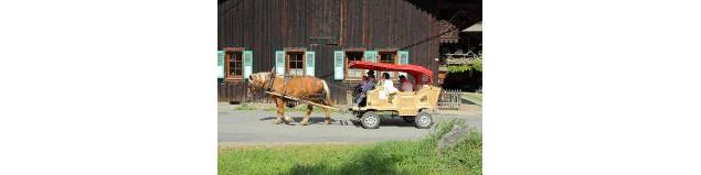 Morzine traîneaux_Morzine