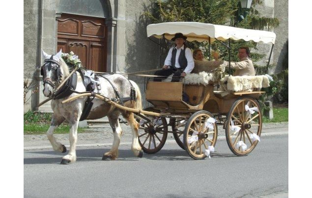 Morzine traîneaux_Morzine