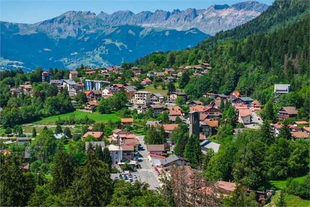 Boucle VTT : du Plateau d'Assy à Chavan_Passy - © Reinhard Thrainer