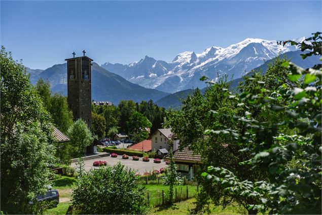 Boucle VTT : du Plateau d'Assy à Chavan_Passy - © Reinhard Thrainer
