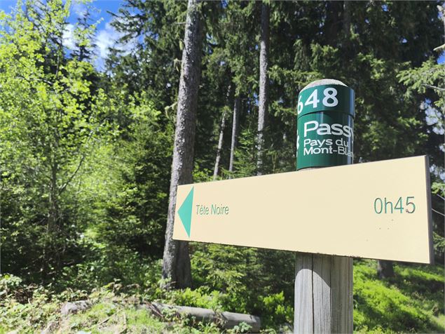 Tête Noire par le col de la Forclaz_Passy - Léon FUCHS