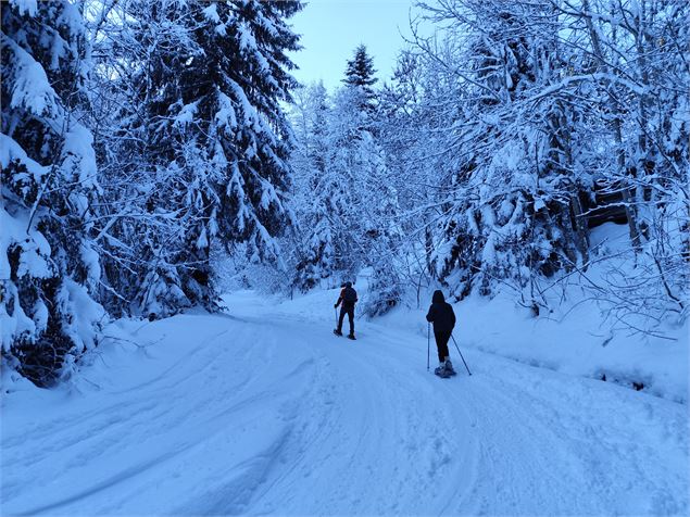 Sentier de la route forestière enneigé avec promeneurs - © Anthony Blondet
