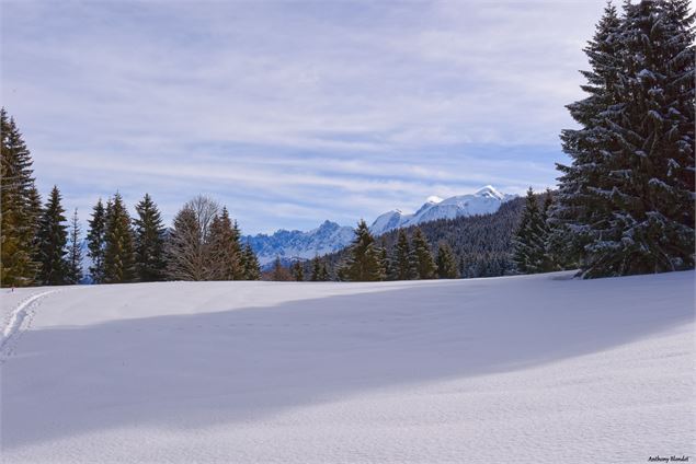 Vue de champ enneigé à Cornillon - © Anthony Blondet