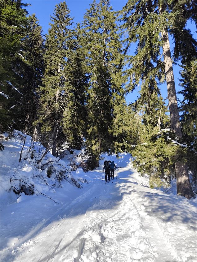 Randonneur sur le chemin de l'Avenaz - © Cordon Tourisme