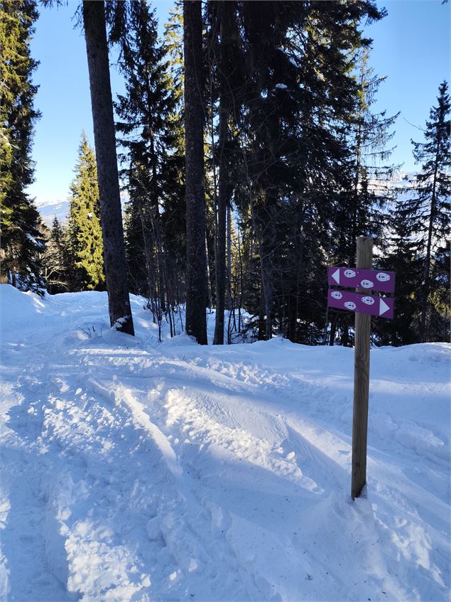 Sentier raquette de la boucle de l'Avenaz - © Cordon Tourisme