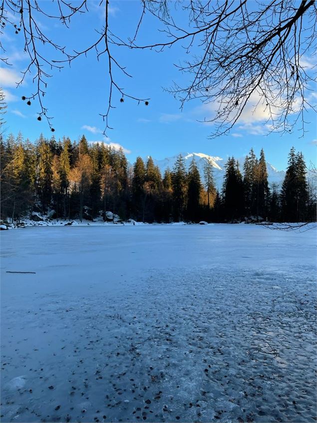 Lac Vert Hiver - Arnaud Lesueur