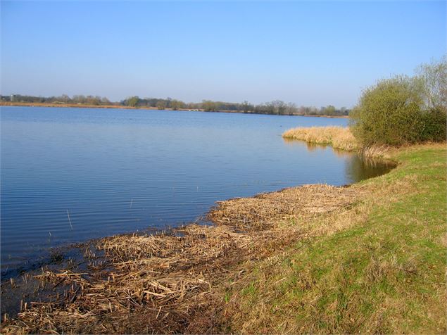 Etang Turlet - Dombes Tourisme