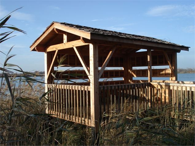 Observatoire de l'Etang Turlet - Dombes Tourisme