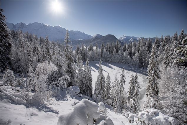 Lac Vert en hiver - Arnaud Lesueur
