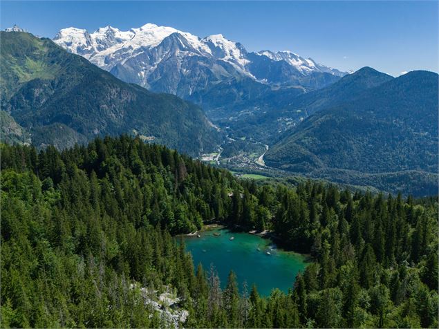 Lac vert en été - Arnaud Lesueur