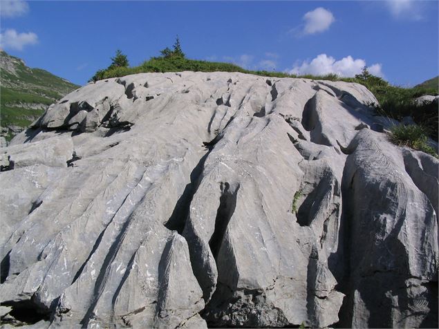 Lapiaz - ML Frescurat