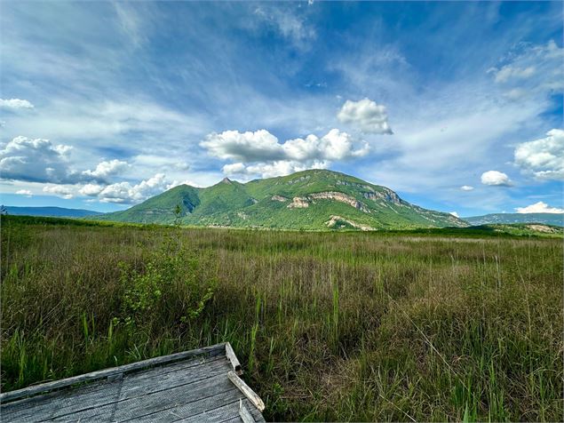 Sentier nature du Marais de Lavours_Ceyzérieu - Maison du marais