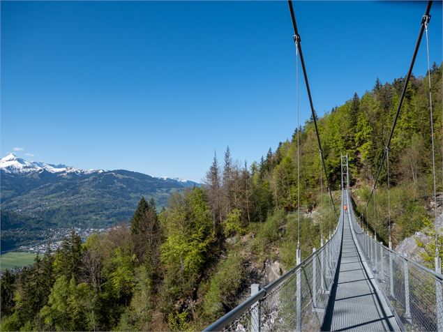 Balade du Plateau d'Assy au Lac Vert par la passerelle du Nant Bordon_Passy - Bichette Voyage