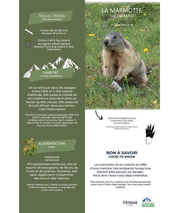 Domaine de Nyon - Randos et sentiers