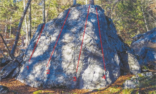 Bloc face au bouc  1/ Le cabri 3b 2/ Le chevreau 3b 3/ L’étagne 3c 4/ L’ibex 6b (DA) Relais en haut 