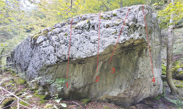 Pas besoin de corde pour ces lignes 1/ Le daguet 5C+ 2/ Le hère 5C 3/ La Biche5C 4/ Le faon 5B