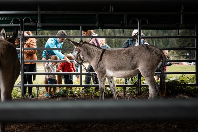 Mont-Blanc Fermes Péda_Chamonix-Mont-Blanc - Olivier Lefebvre