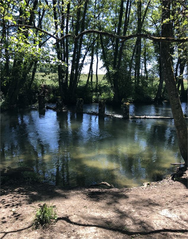 Rivière Suisse, La Versoix - Jules Guerle