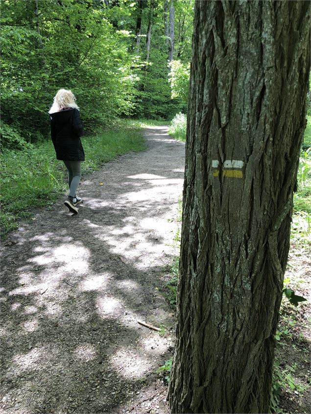 Balisage à suivre - Jules Guerle