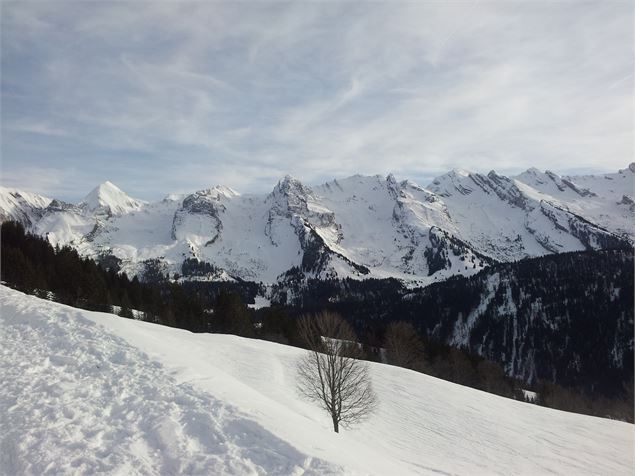 Sentiers raquettes 20 : le petit balcon des Aravis - C.Hudry - Aravis