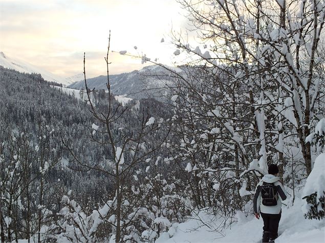 Sentiers raquettes au Grand-Bornand 27 : La Communaille Le Replain - csardin Le Grand-Bornand