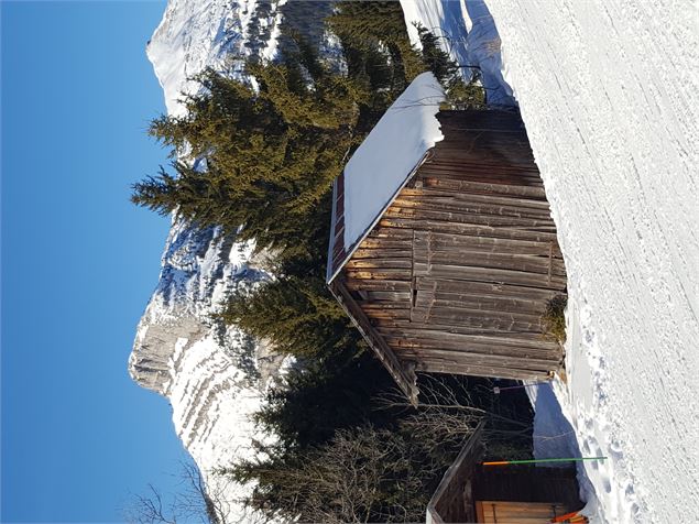 Raquettes 34 Plateau du Rosay - Alpcat.Medias-Le-Grand-Bornand