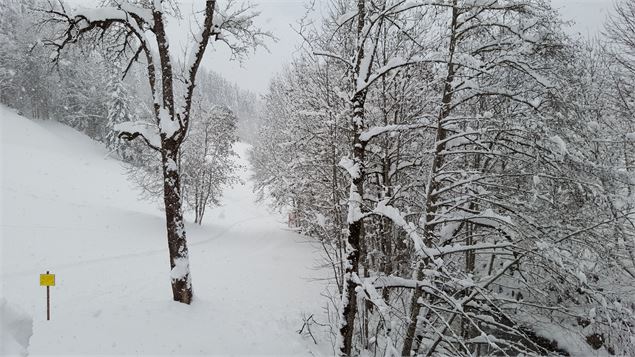 Sentiers raquettes 19 - La vallée du Bouchet - csardin - Le Grand-Bornand