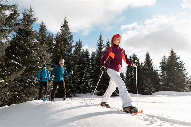 Sentiers raquettes au Grand-Bornand 32 : Sur Frêtes - Hudry - Aravis