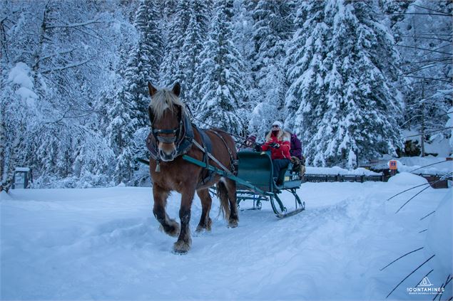 Balade traineaux à cheval - Francis Callamard - Les Contamines Tourisme