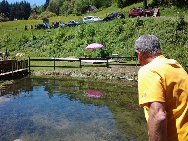 Le bassin - Hervé Besson