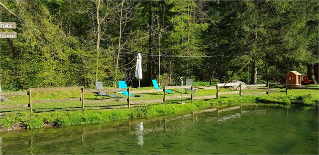 Le bassin - Hervé Besson