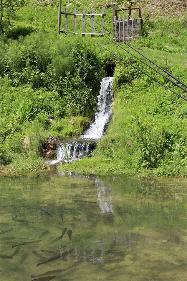 L'étang de pêche - Hervé Besson