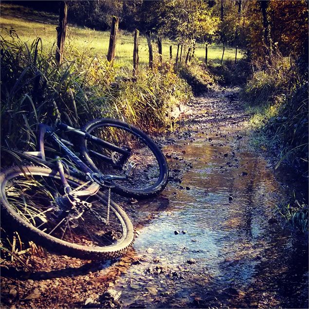 Treffort - VTT - Oxyrace