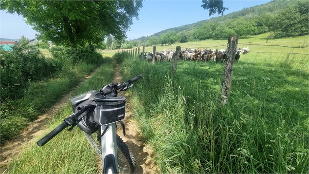 Circuit VTT n°7 (rouge) - Drom - Villeversure - scalland