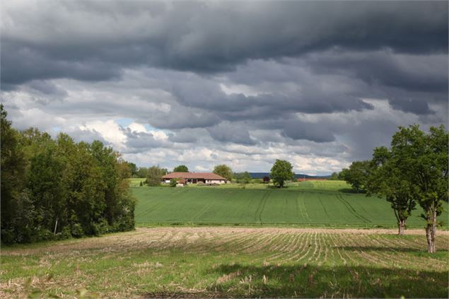Circuit VTT-VTC n°3 (bleu) - L'arboretum d'Etrez