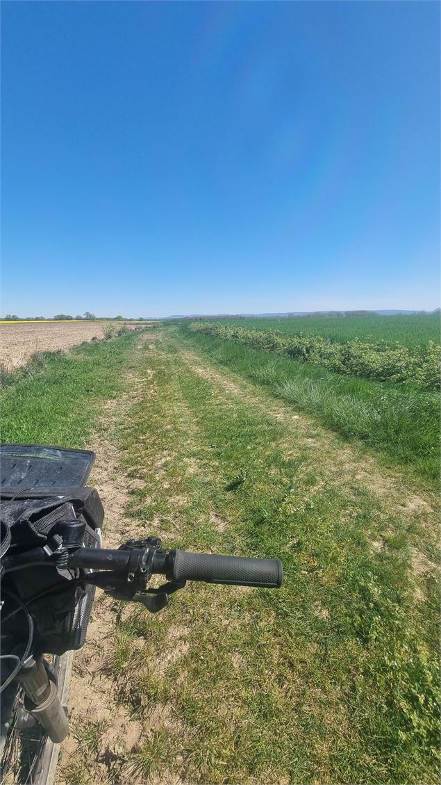 Circuit VTT n°5 (rouge) - L'étang Pontremble - scalland