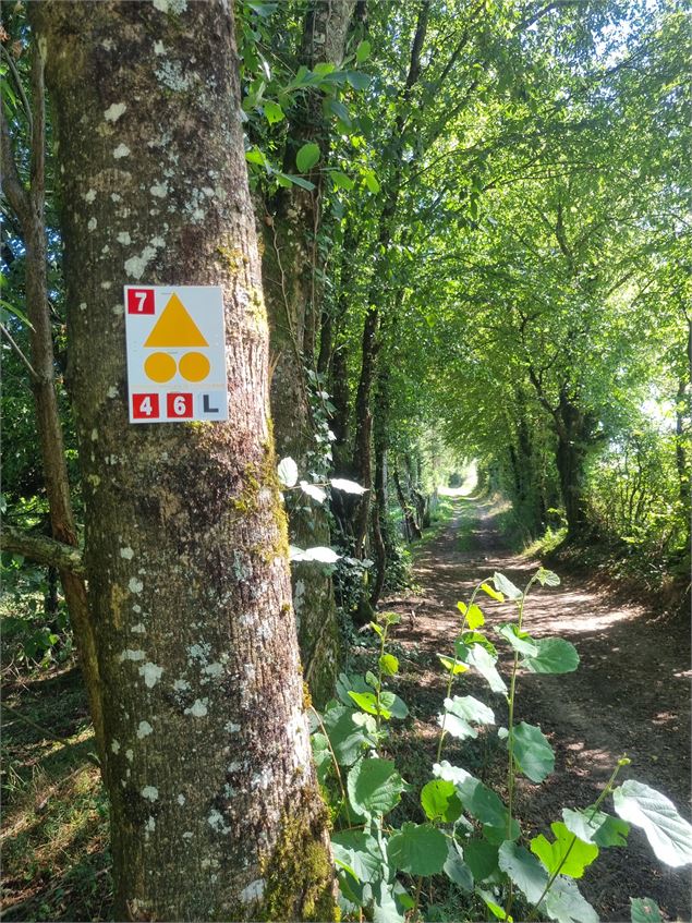 VTT-VTC Bresse - scalland