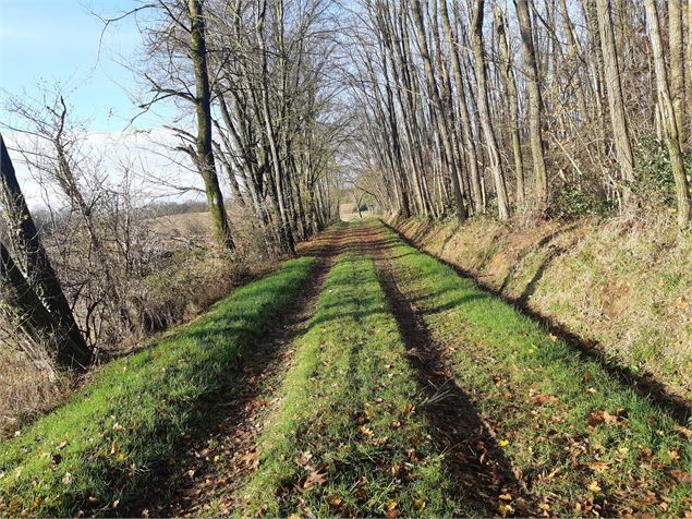 Sur les chemins de St Didier d'Aussiat - scalland