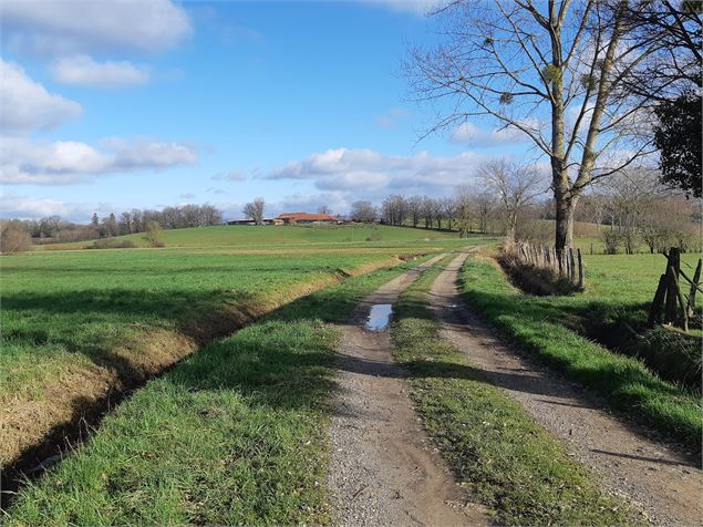 Etang des Baisses et ferme de Bévey (VTT) - scalland